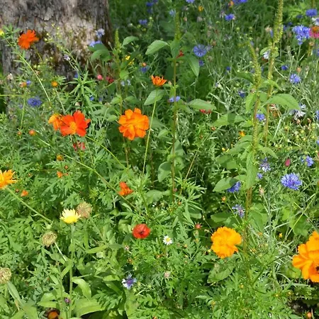 Haus Melanie Apartment Velden am Wörthersee